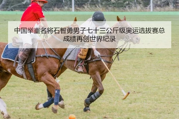 中国举重名将石智勇男子七十三公斤级奥运选拔赛总成绩再创世界纪录
